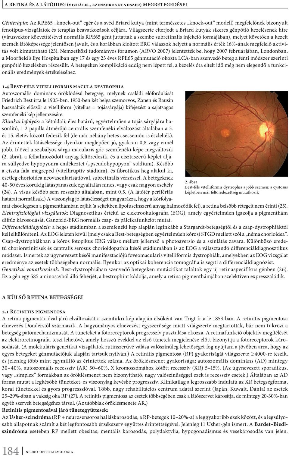 szemek látóképessége jelentősen javult, és a korábban kioltott ERG válaszok helyett a normális érték 16%-ának megfelelő aktivitás volt kimutatható (23).