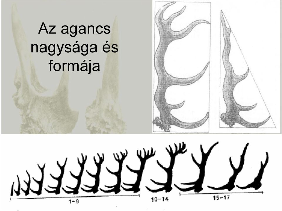 és