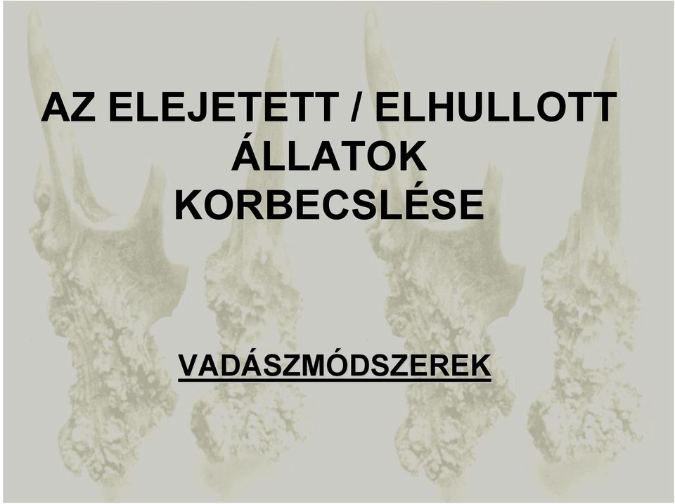 ÁLLATOK