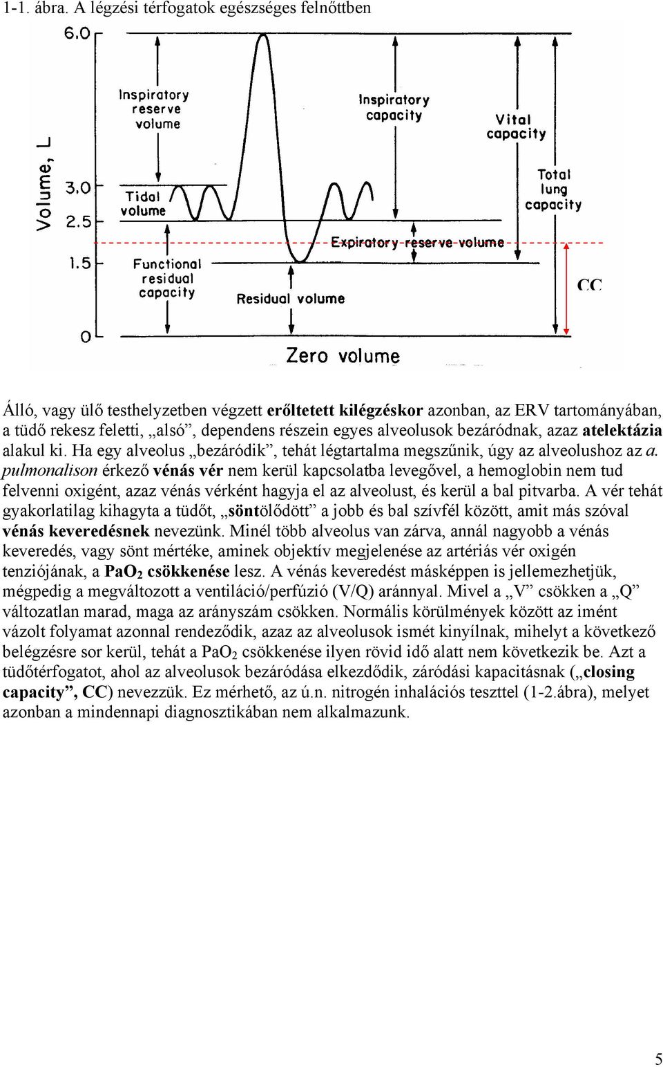 alveolusok bezáródnak, azaz atelektázia alakul ki. Ha egy alveolus bezáródik, tehát légtartalma megszűnik, úgy az alveolushoz az a.