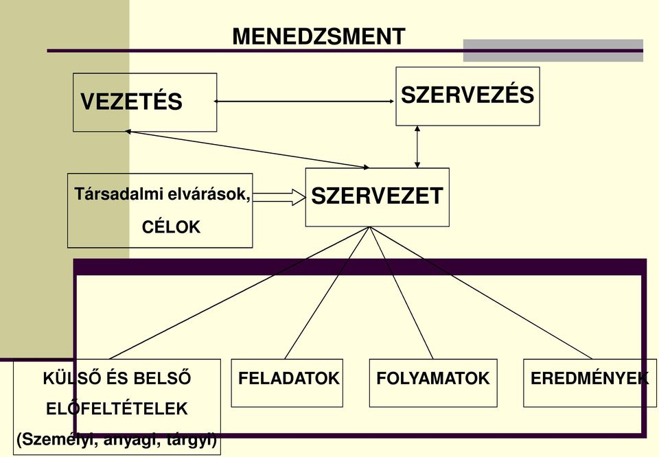 KÜLSŐ ÉS BELSŐ ELŐFELTÉTELEK