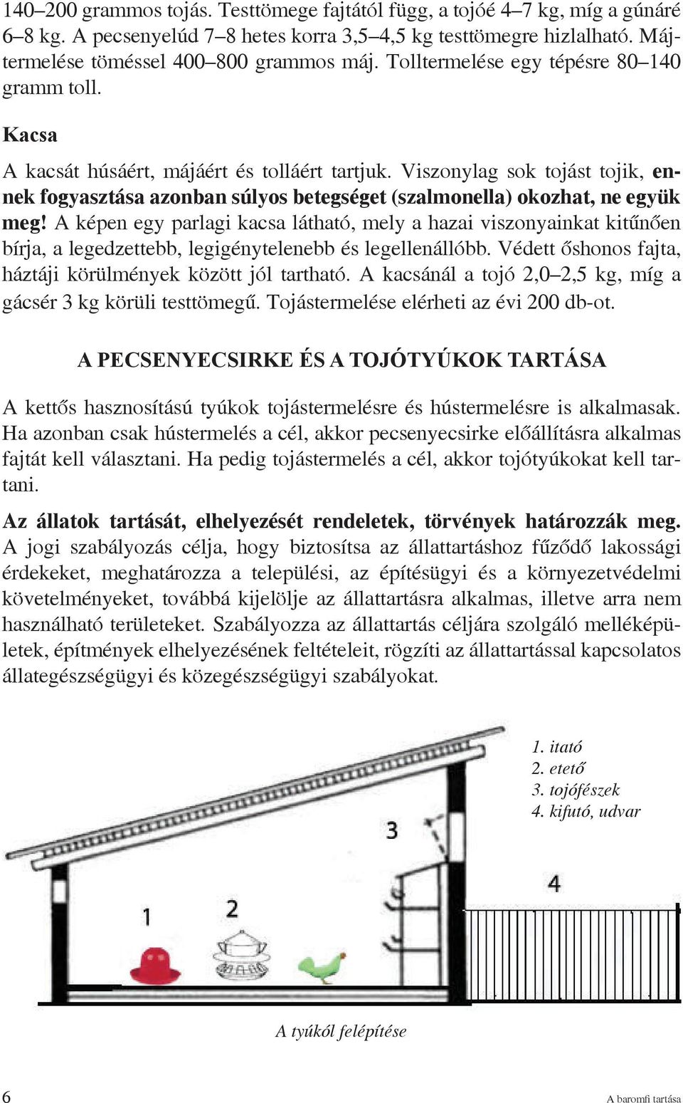 Viszonylag sok tojást tojik, ennek fogyasztása azonban súlyos betegséget (szalmonella) okozhat, ne együk meg!