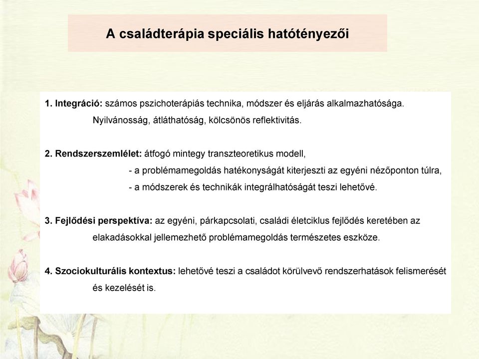 Rendszerszemlélet: átfogó mintegy transzteoretikus modell, - a problémamegoldás hatékonyságát kiterjeszti az egyéni nézőponton túlra, - a módszerek és technikák