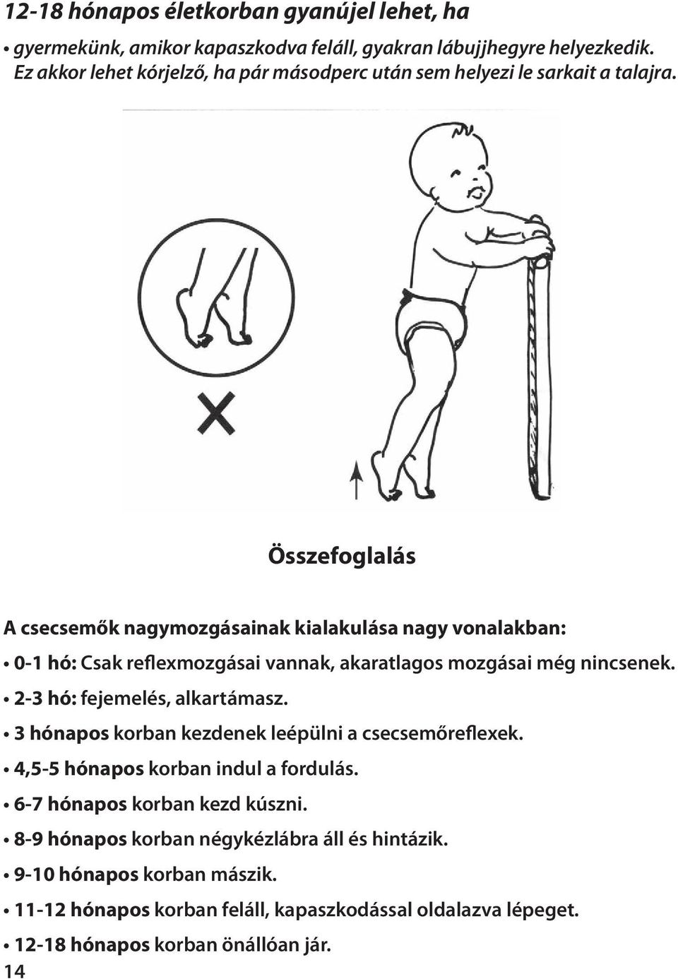 Összefoglalás A csecsemők nagymozgásainak kialakulása nagy vonalakban: 0-1 hó: Csak reflexmozgásai vannak, akaratlagos mozgásai még nincsenek.