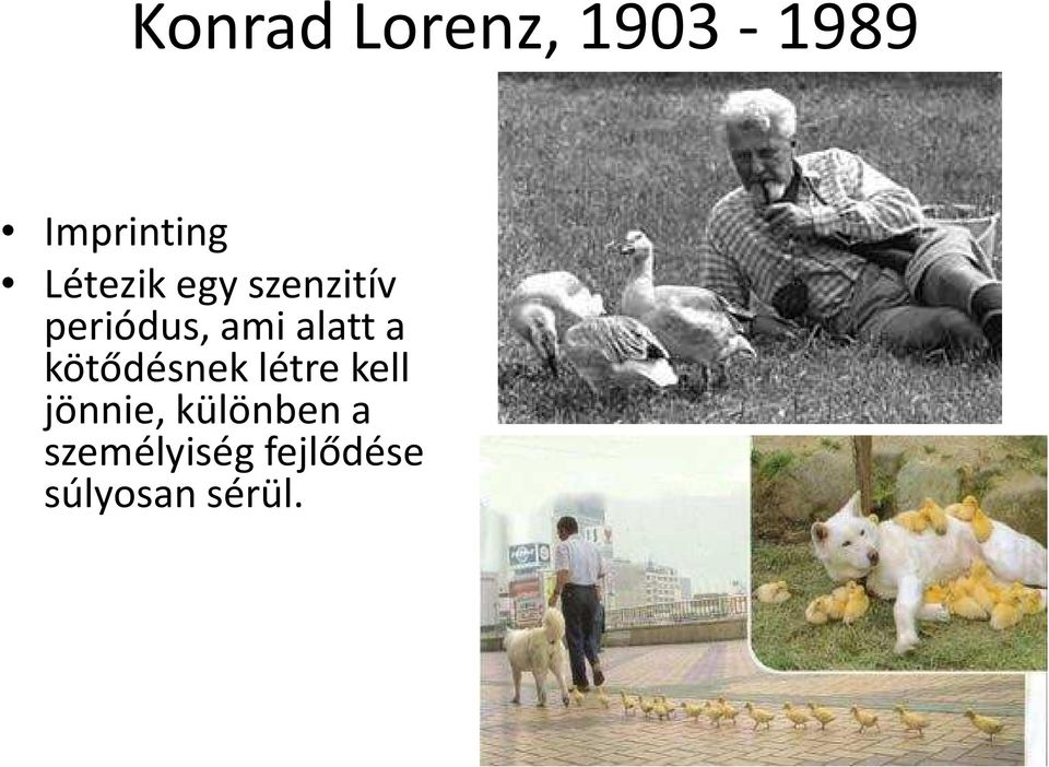 alatt a kötődésnek létre kell jönnie,