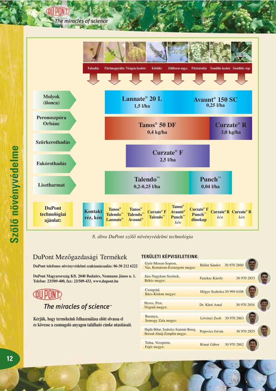 Lisztharmat DuPont technológiai ajánlat: Kontakt réz, kén Tanos Lannate 0,2-0,25 l/ha Tanos Avaunt Curzate F 2,5 l/ha Curzate F Tanos Avaunt Punch kén 8.