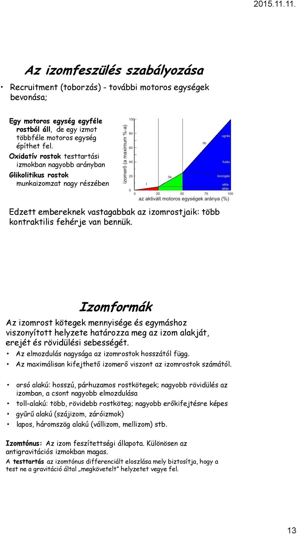 Oxidatív rostok testtartási izmokban nagyobb arányban Glikolitikus rostok munkaizomzat nagy részében Ezért kevesebb m Az edzés első hat Megtanulja az Az izomzat növek (génakakitiváló Edzett