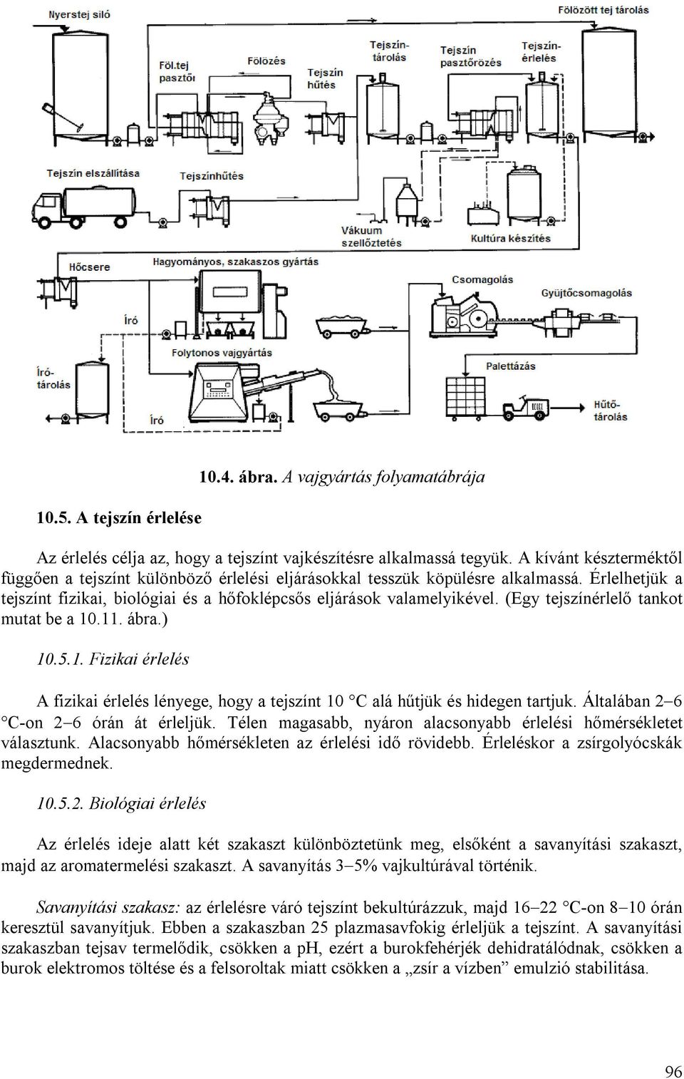 (Egy tejszínérlelő tankot mutat be a 10.11. ábra.) 10.5.1. Fizikai érlelés A fizikai érlelés lényege, hogy a tejszínt 10 C alá hűtjük és hidegen tartjuk. Általában 26 C-on 26 órán át érleljük.