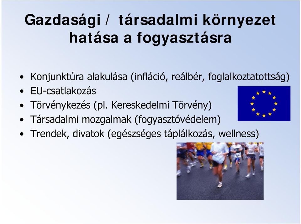 EU-csatlakozás Törvénykezés (pl.