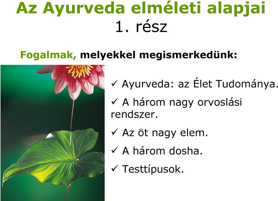 Ayurveda: az Élet Tudománya.