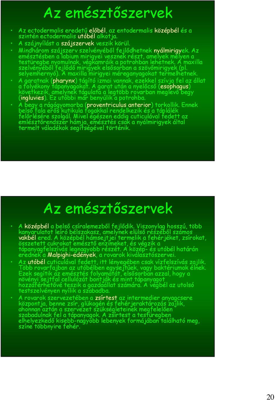 A maxilla szelvényéből fejlődő mirigyek elsősorban a szövőmirigyek (pl. selyemhernyó). A maxilla mirigyei méreganyagokat termelhetnek.