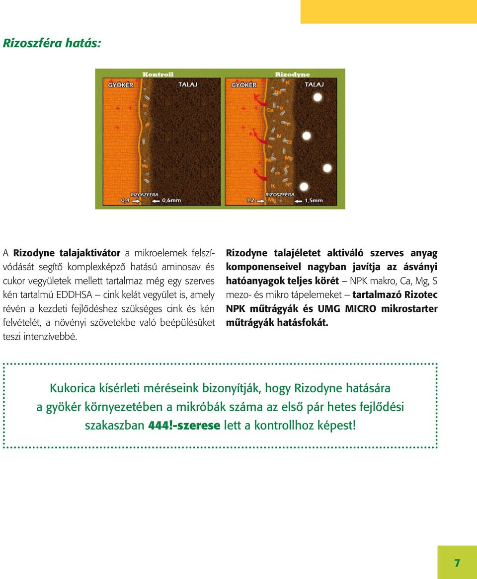 Rizodyne talajéletet aktiváló szerves anyag komponenseivel nagyban javítja az ásványi hatóanyagok teljes körét NPK makro, Ca, Mg, S mezo- és mikro tápelemeket tartalmazó Rizotec NPK