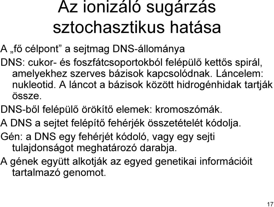 A láncot a bázisok között hidrogénhidak tartják össze. DNS-ből felépülő örökítő elemek: kromoszómák.