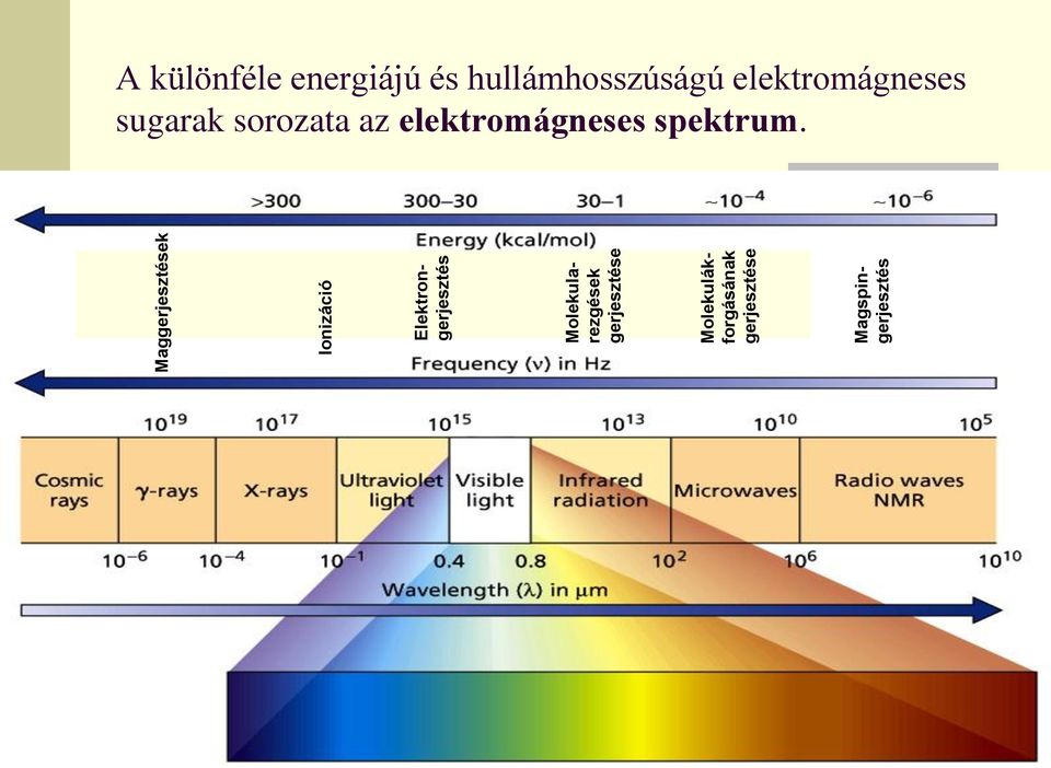 gerjesztése Magspingerjesztés A különféle energiájú és