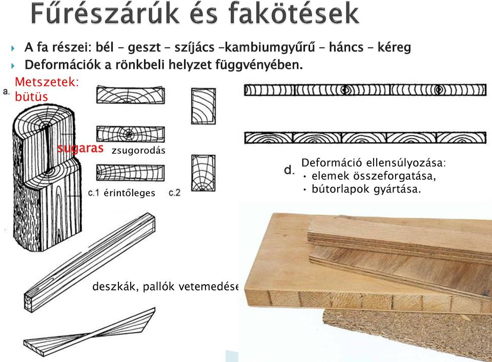 Metszetek: bütüs sugaras zsugorodás érintőleges Deformáció