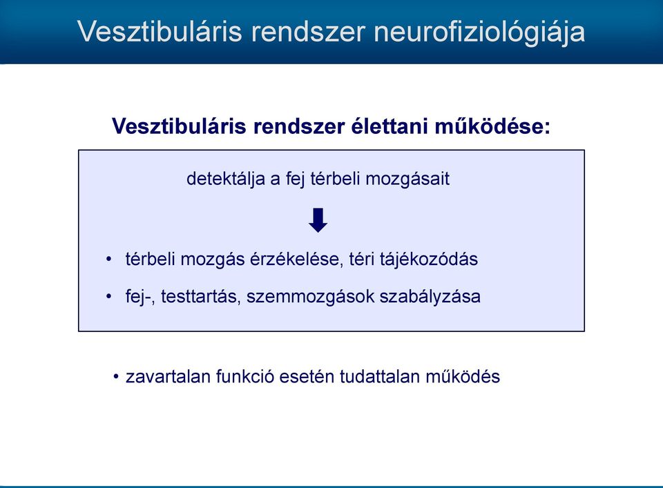 térbeli mozgás érzékelése, téri tájékozódás fej-, testtartás,