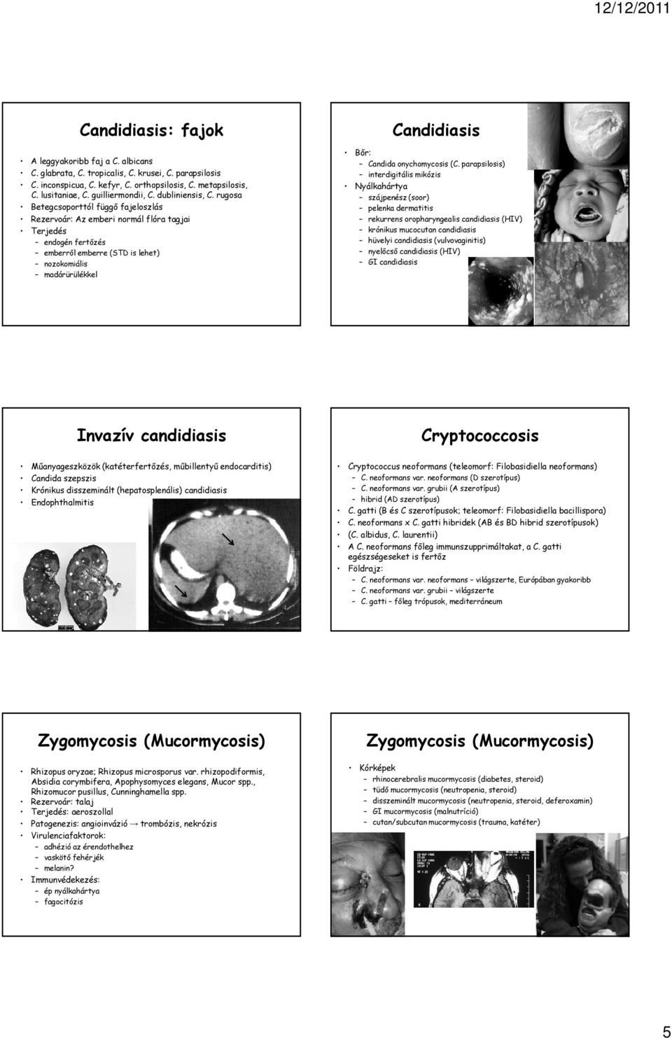 rugosa Betegcsoporttól függő fajeloszlás Rezervoár: Az emberi normál flóra tagjai Terjedés endogén fertőzés emberről emberre (STD is lehet) nozokomiális madárürülékkel Candidiasis Bőr: Candida