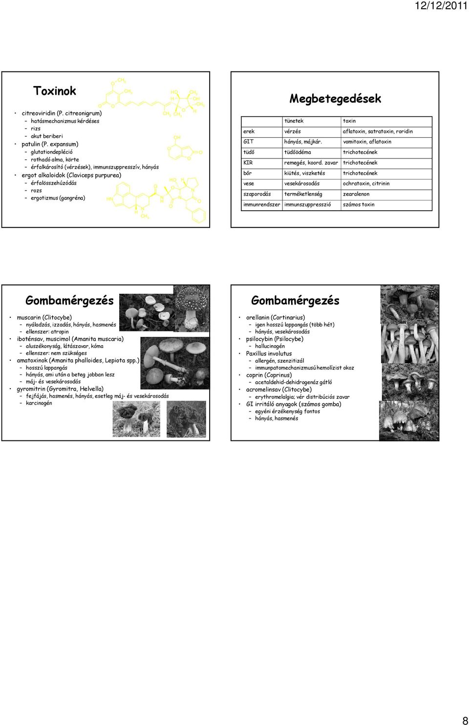 C 3 C 3 C 3 Megbetegedések tünetek toxin erek vérzés aflatoxin, satratoxin, roridin GIT hányás, májkár. vomitoxin, aflatoxin tüdő tüdőödéma trichotecének KIR remegés, koord.