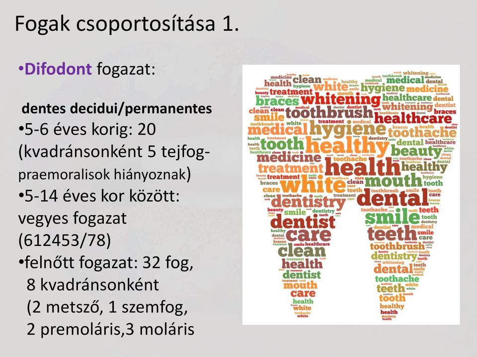 (kvadránsonként 5 tejfogpraemoralisok hiányoznak) 5-14 éves kor