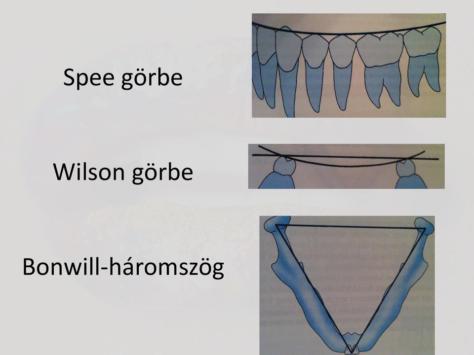 görbe