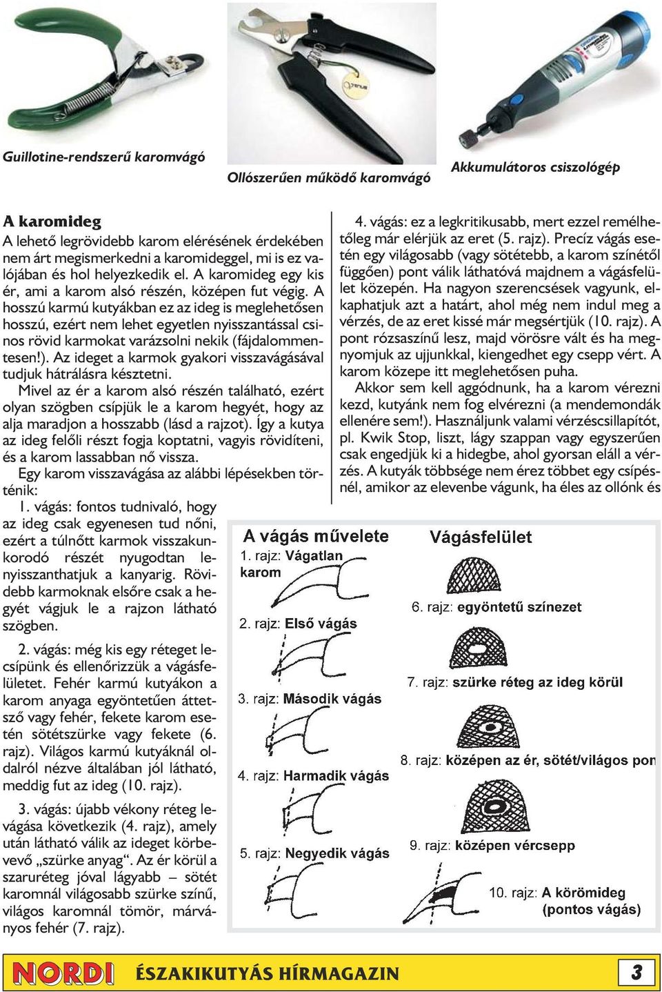 A hosszú karmú kutyákban ez az ideg is meglehetõsen hosszú, ezért nem lehet egyetlen nyisszantással csinos rövid karmokat varázsolni nekik (fájdalommentesen!).