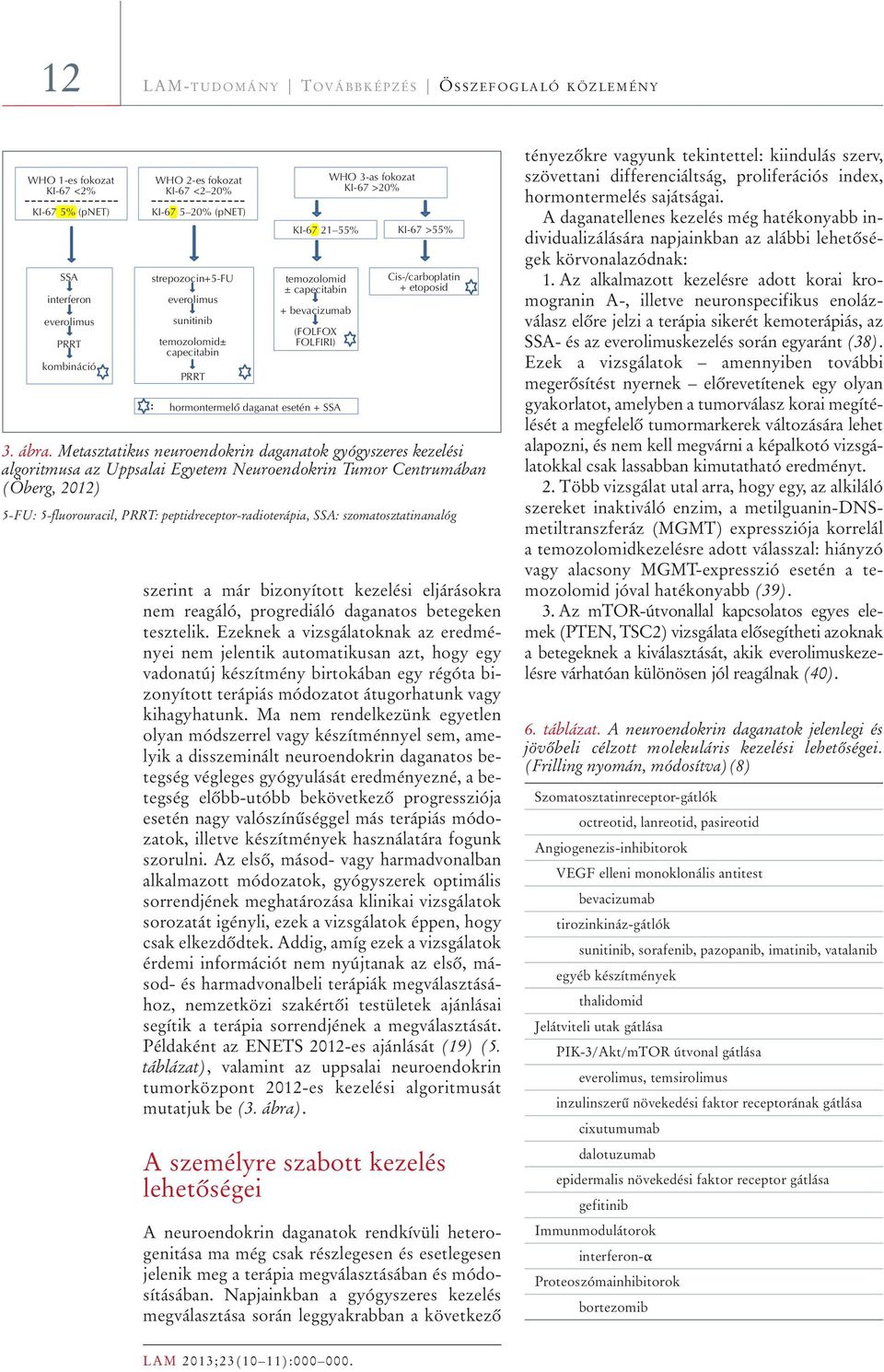 >20% KI-67 >55% Cis-/carboplatin + etoposid 3. ábra.