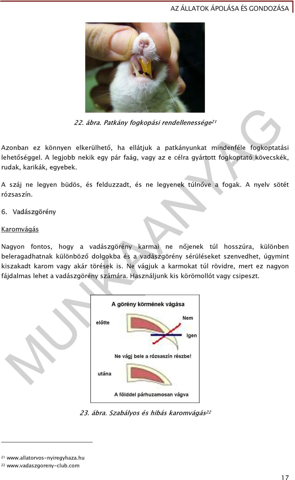 Vadászgörény Karomvágás Nagyon fontos, hogy a vadászgörény karmai ne nőjenek túl hosszúra, különben beleragadhatnak különböző dolgokba és a vadászgörény sérüléseket szenvedhet, úgymint kiszakadt