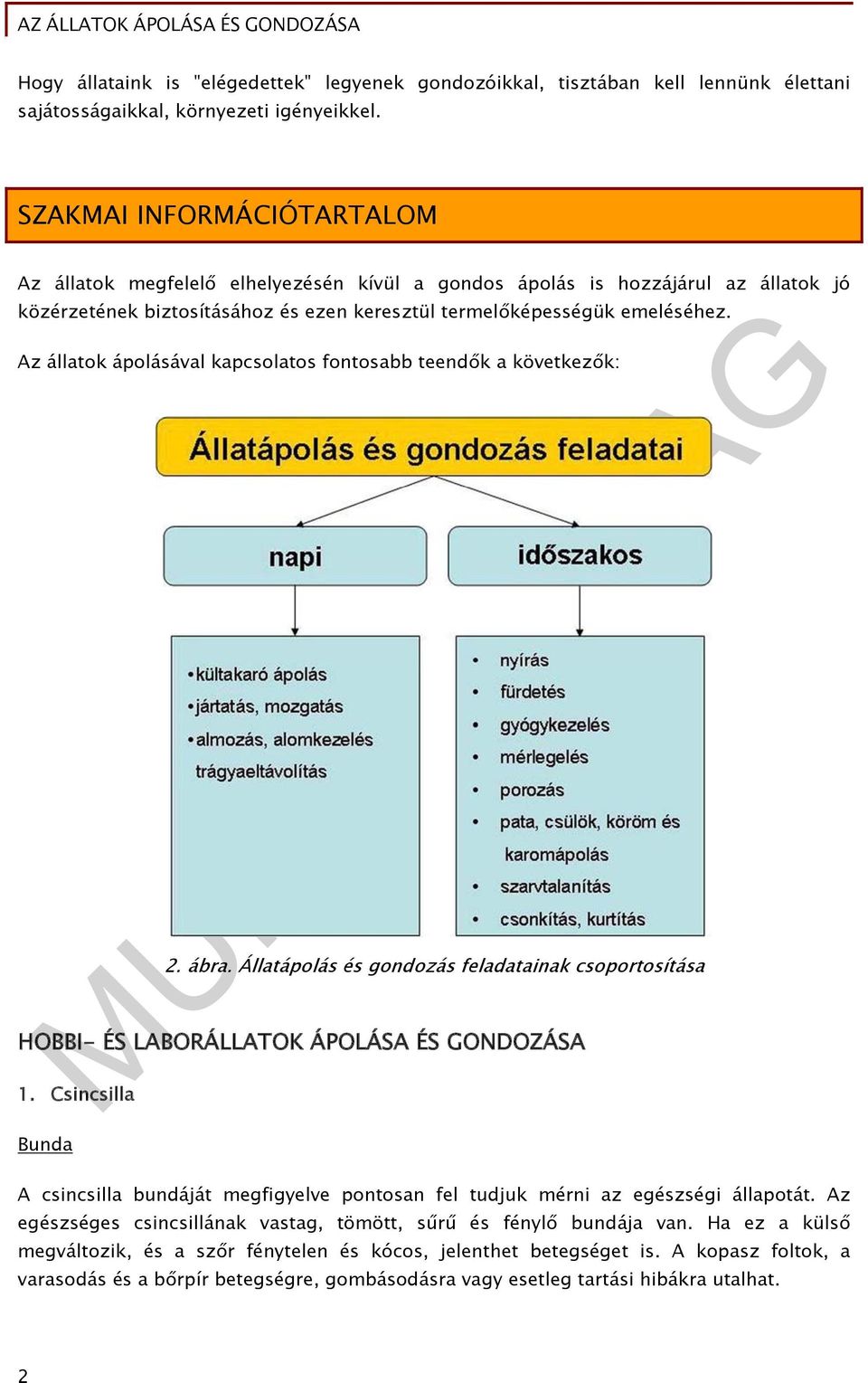 Az állatok ápolásával kapcsolatos fontosabb teendők a következők: 2. ábra. Állatápolás és gondozás feladatainak csoportosítása HOBBI- ÉS LABORÁLLATOK ÁPOLÁSA ÉS GONDOZÁSA 1.