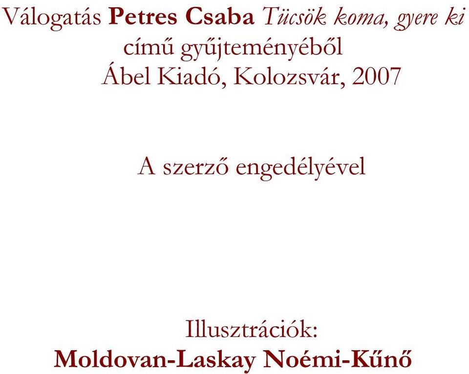 Kiadó, Kolozsvár, 2007 A szerző