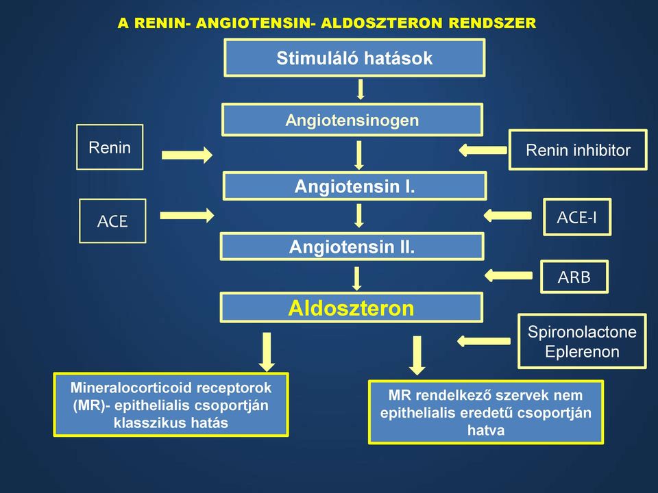 Aldoszteron Renin inhibitor ACE-I ARB Spironolactone Eplerenon