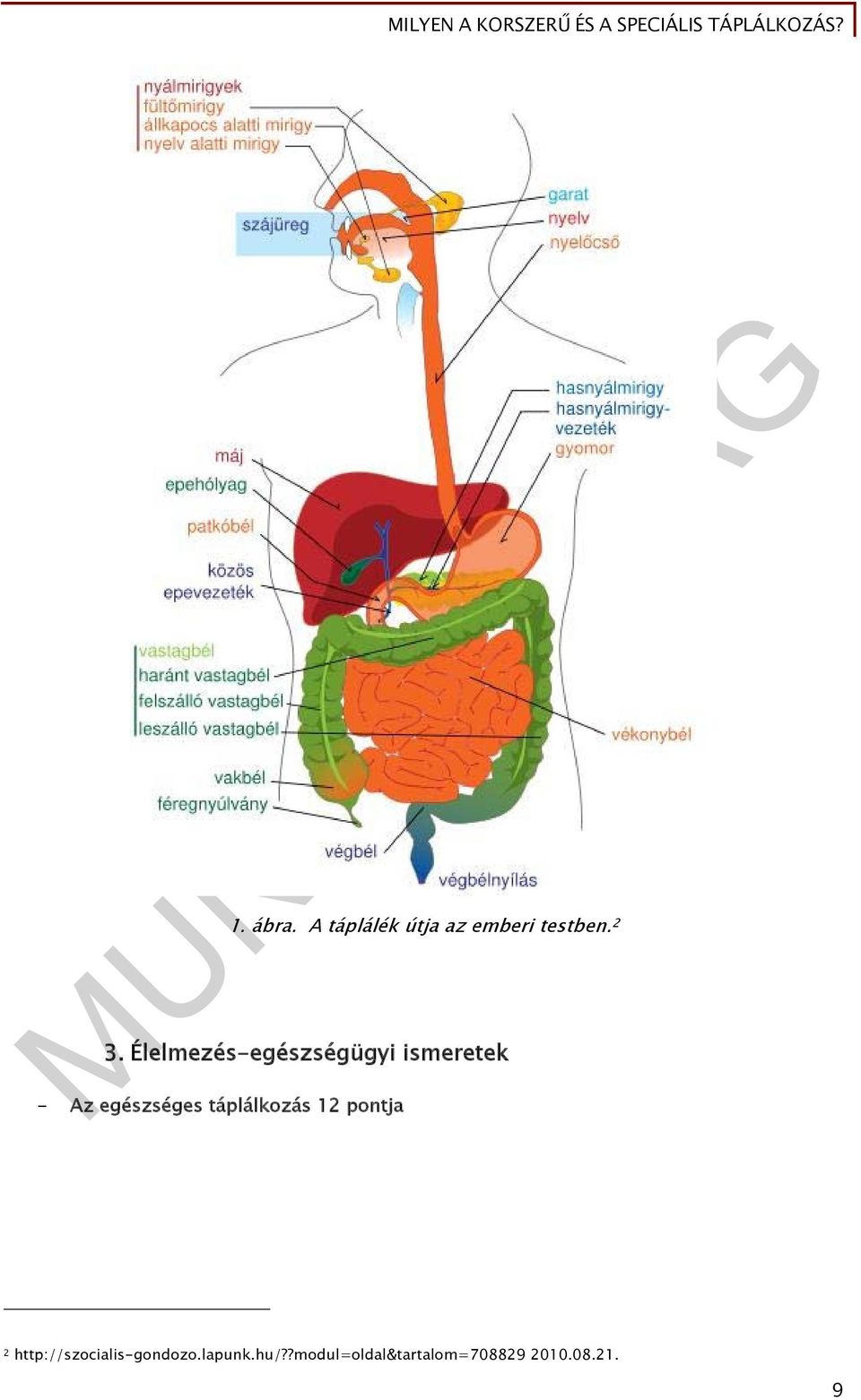 táplálkozás 12 pontja 2 http://szocialis-gondozo.