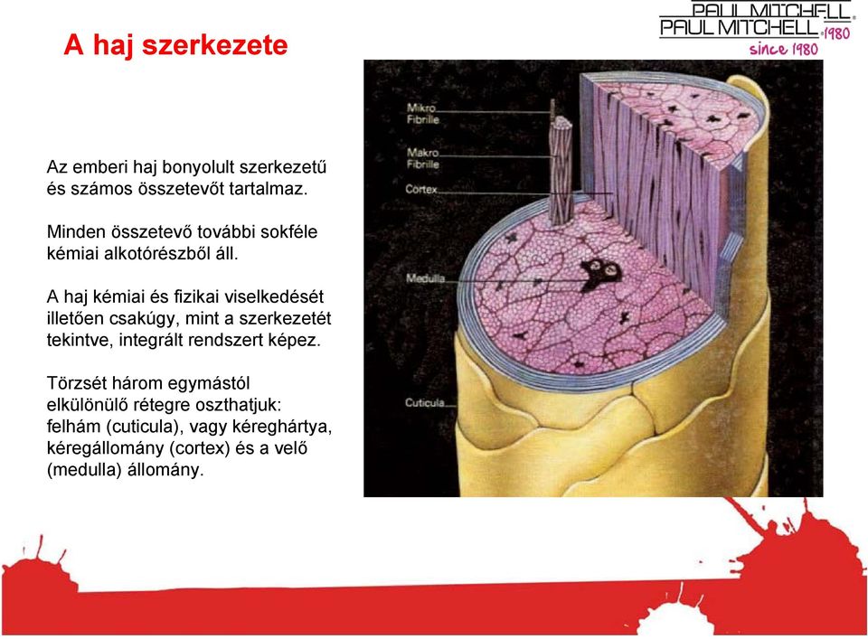 A haj kémiai és fizikai viselkedését illetően csakúgy, mint a szerkezetét tekintve, integrált