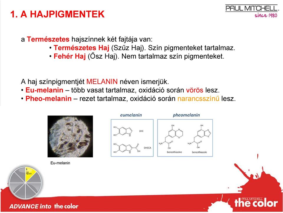 A haj színpigmentjét MELANIN néven ismerjük.