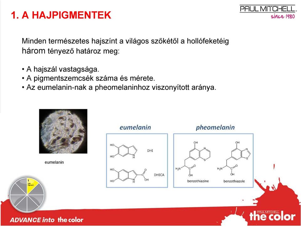 hajszál vastagsága. A pigmentszemcsék száma és mérete.