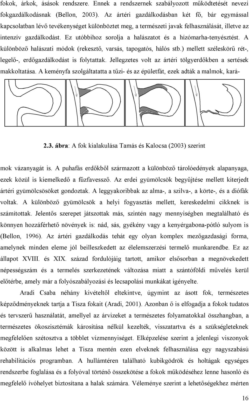 Ez utóbbihoz sorolja a halászatot és a hízómarha-tenyésztést. A különböző halászati módok (rekesztő, varsás, tapogatós, hálós stb.) mellett széleskörű rét-, legelő-, erdőgazdálkodást is folytattak.