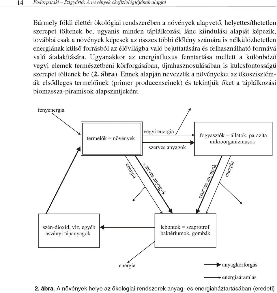 formává való átalakítására. Ugyanakkor az energiafluxus fenntartása mellett a különböző vegyi elemek természetbeni körforgásában, újrahasznosulásában is kulcsfontosságú szerepet töltenek be (2. ábra).