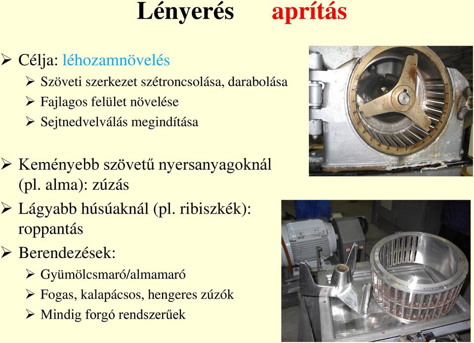 nyersanyagoknál (pl. alma): zúzás Lágyabb húsúaknál (pl.