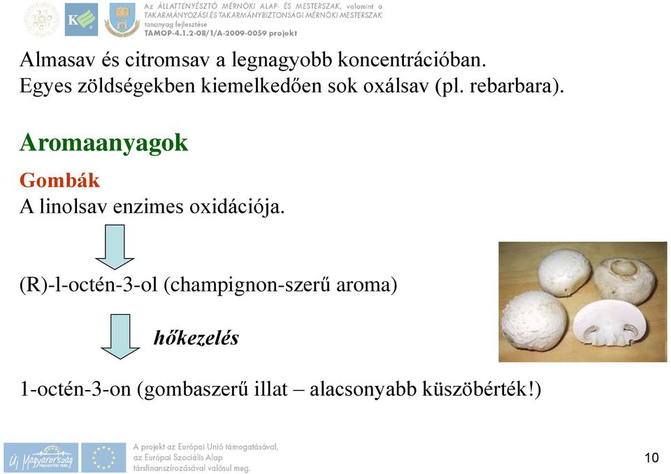 Aromaanyagok Gombák A linolsav enzimes oxidációja.