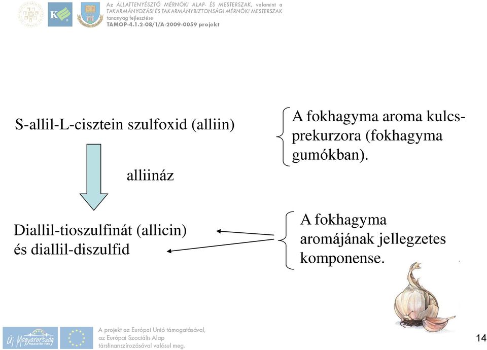 diallil-diszulfid A fokhagyma aroma