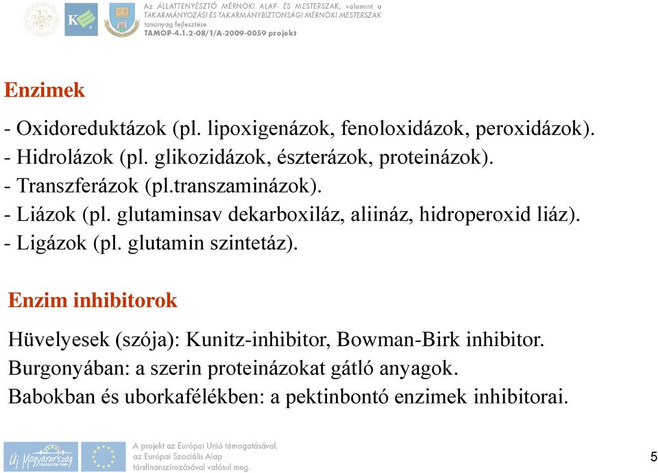 glutaminsav dekarboxiláz, aliináz, hidroperoxid liáz). - Ligázok (pl. glutamin szintetáz).