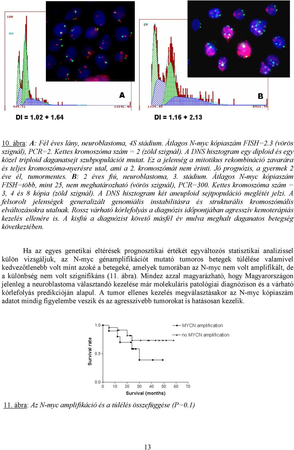 kromoszómát nem érinti. Jó prognózis, a gyermek 2 éve él, tumormentes. B: 2 éves fiú, neuroblastoma, 3. stádium.