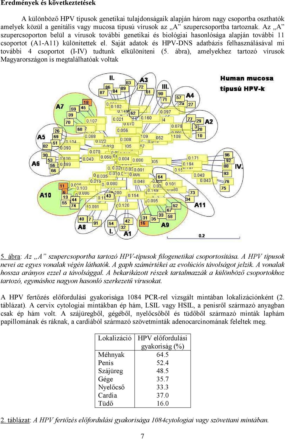 Saját adatok és HPV-DNS adatbázis felhasználásával mi további 4 csoportot (I-IV) tudtunk elkülöníteni (5. ábra), amelyekhez tartozó vírusok Magyarországon is megtalálhatóak voltak 5.