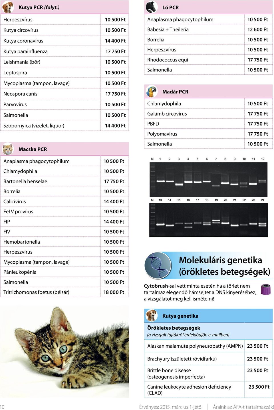 Rhodococcus equi Salmonella Mycoplasma (tampon, lavage) Neospora canis Madár PCR Parvovírus Chlamydophila Salmonella Galamb circovírus Szopornyica (vizelet, liquor) 14 400 Ft PBFD Polyomavírus Macska