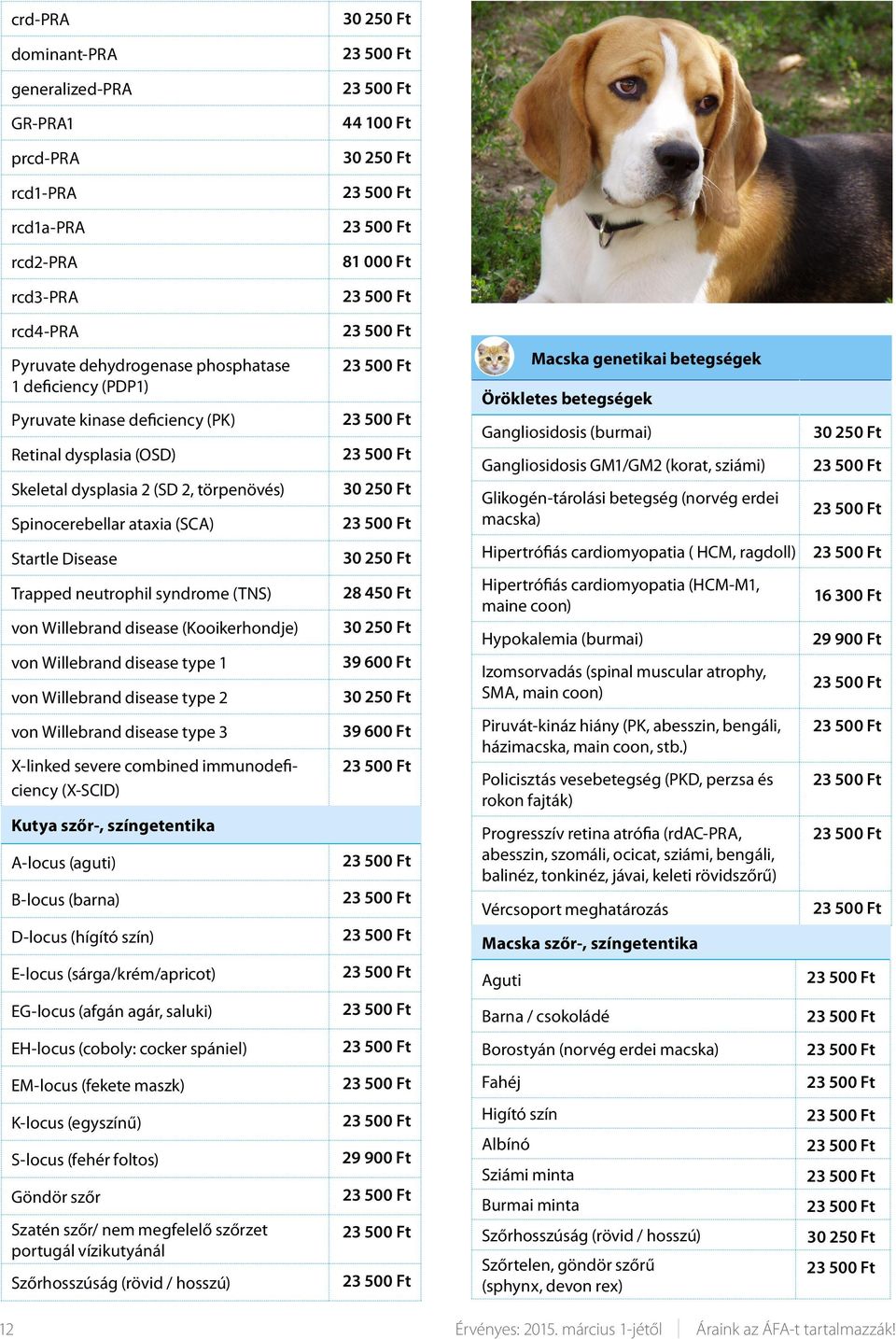 von Willebrand disease type 1 von Willebrand disease type 2 28 450 Ft 39 600 Ft Macska genetikai betegségek Örökletes betegségek Gangliosidosis (burmai) Gangliosidosis GM1/GM2 (korat, sziámi)