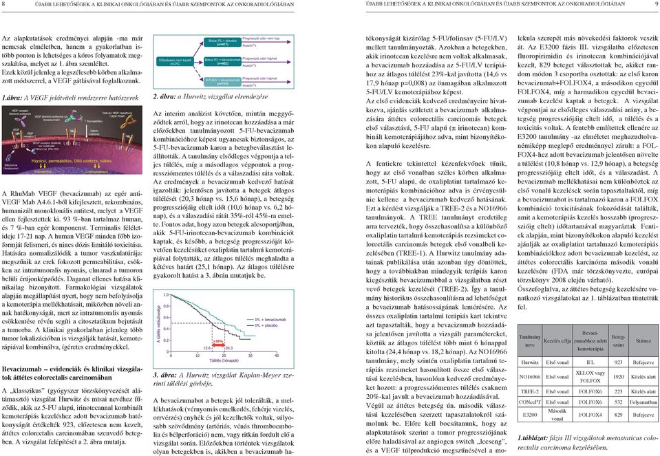 Ezek közül jelenleg a legszélesebb körben alkalmazott módszerrel, a VEGF gátlásával foglalkozunk. 1.