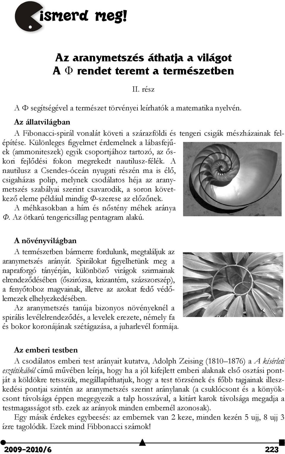 Különleges figyelmet érdemelnek a lábasfejűek (ammoniteszek) egyik csoportjához tartozó, az őskori fejlődési fokon megrekedt nautilusz-félék.