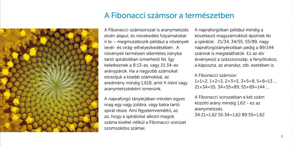 Ha a nagyobb számokat elosztjuk a kisebb számokkal, az eredmény mindig 1,618, amit fí-ként vagy aranymetszésként ismerünk.