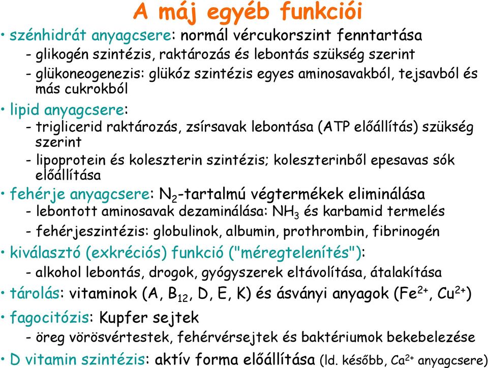 előállítása fehérje anyagcsere: N 2 -tartalmú végtermékek eliminálása - lebontott aminosavak dezaminálása: NH 3 és karbamid termelés - fehérjeszintézis: globulinok, albumin, prothrombin, fibrinogén