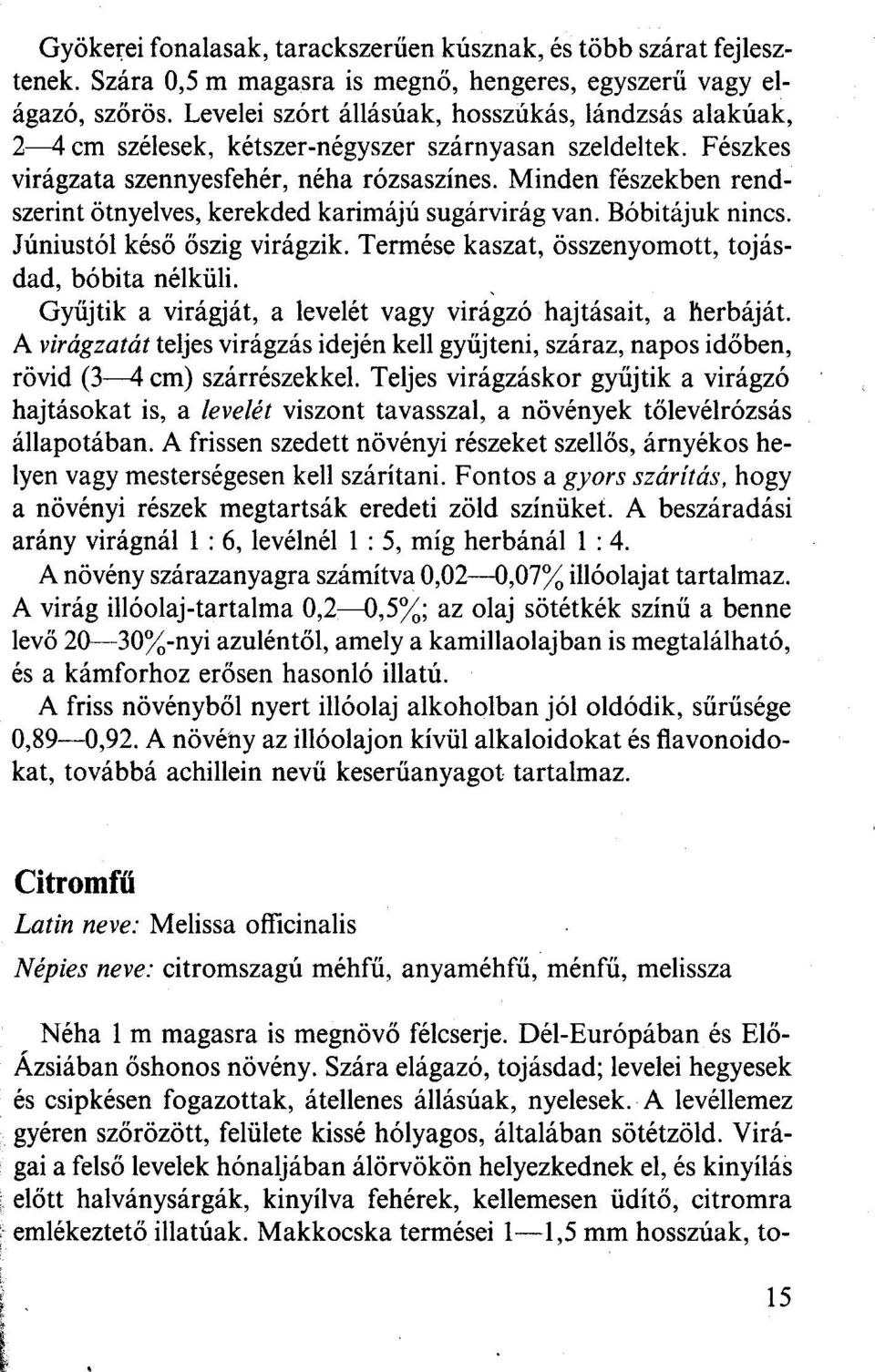 Minden fészekben rendszerint ötnyelves, kerekded karimájú sugárvirág van. Bóbitájuk nincs. Júniustól késő őszig virágzik. Termése kaszat, összenyomott, tojásdad, bóbita nélküli.