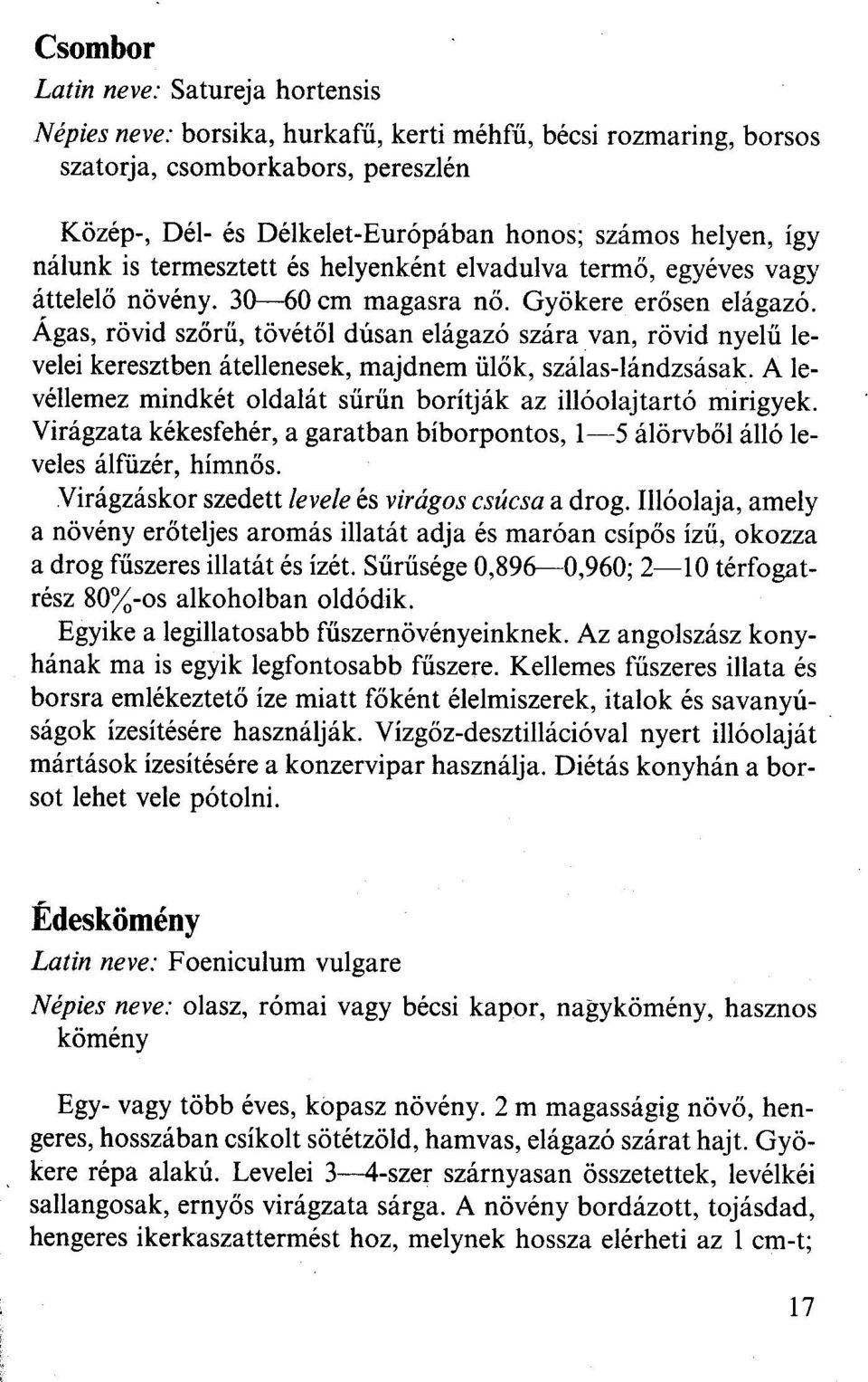 Ágas, rövid szőrű, tövétől dúsan elágazó szára van, rövid nyelű levelei keresztben átellenesek, majdnem ülők, szálas-lándzsásak. A levéllemez mindkét oldalát sűrűn borítják az illóolajtartó mirigyek.